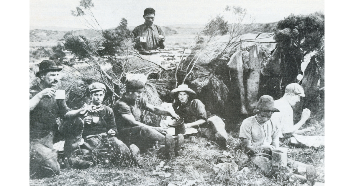 Kauri Gum Industry Photography Historical Mad On New Zealand