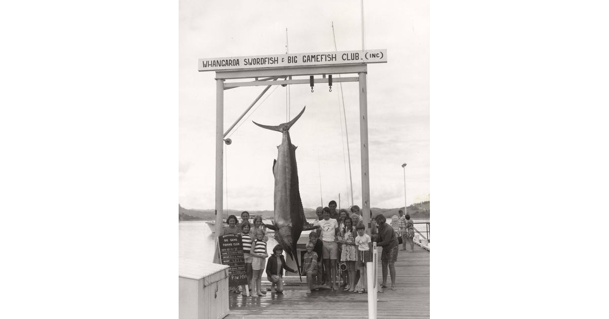 Fishing / Photography - Historical | MAD on New Zealand