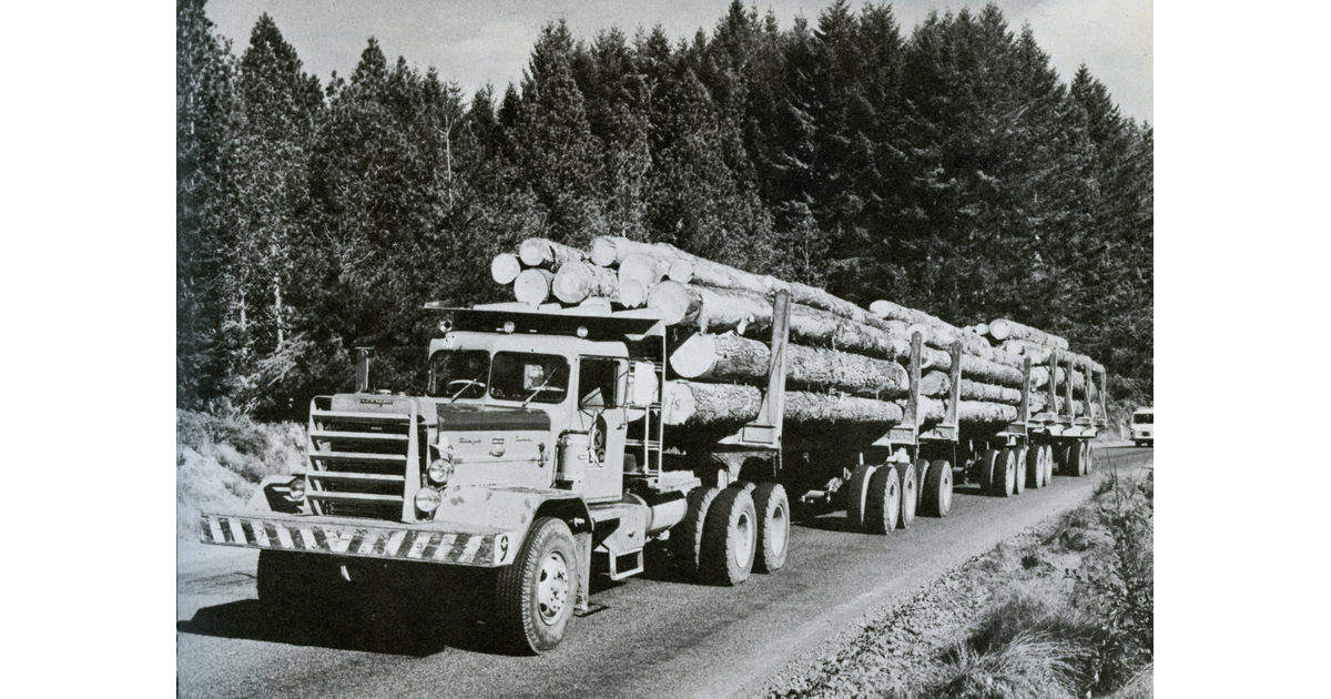 Timber Industry / Photography - Historical | MAD on New Zealand