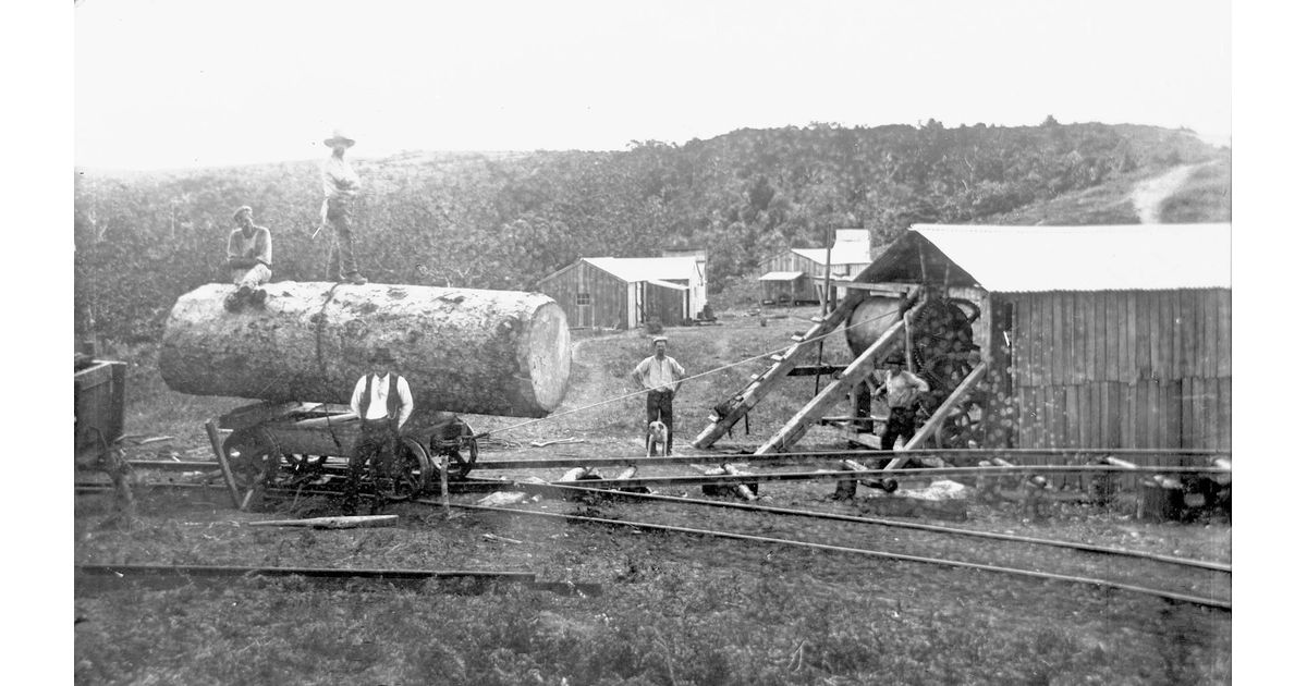 Timber Industry / Photography Historical MAD on New Zealand