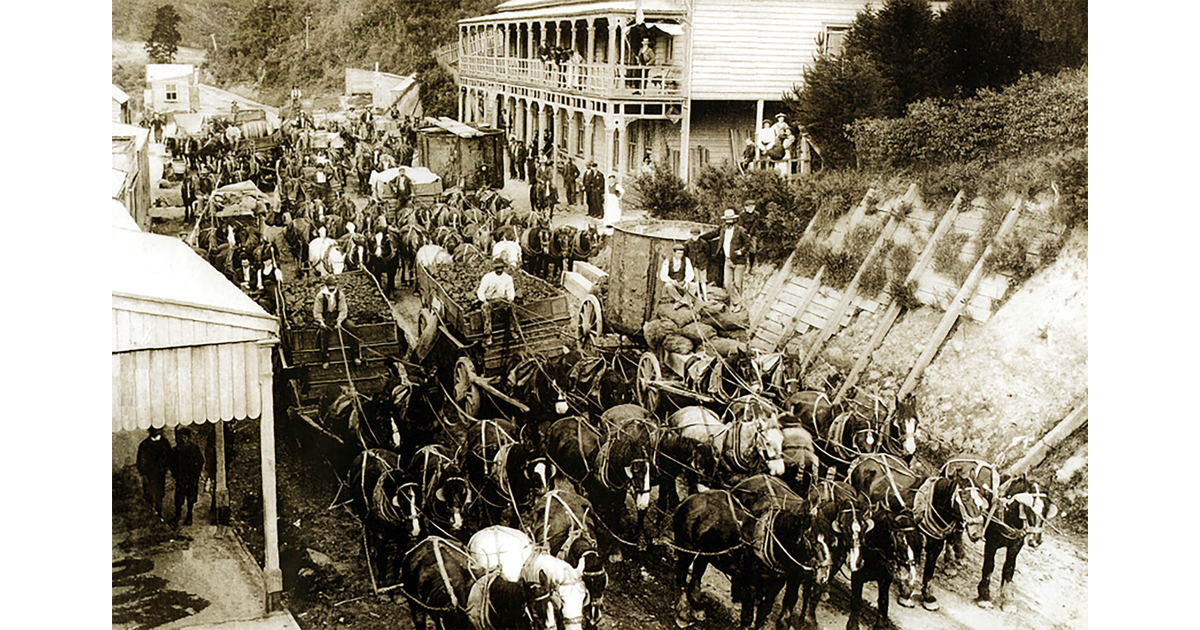 Historical - Photos - Waikato / Photography - Historical | MAD On New ...