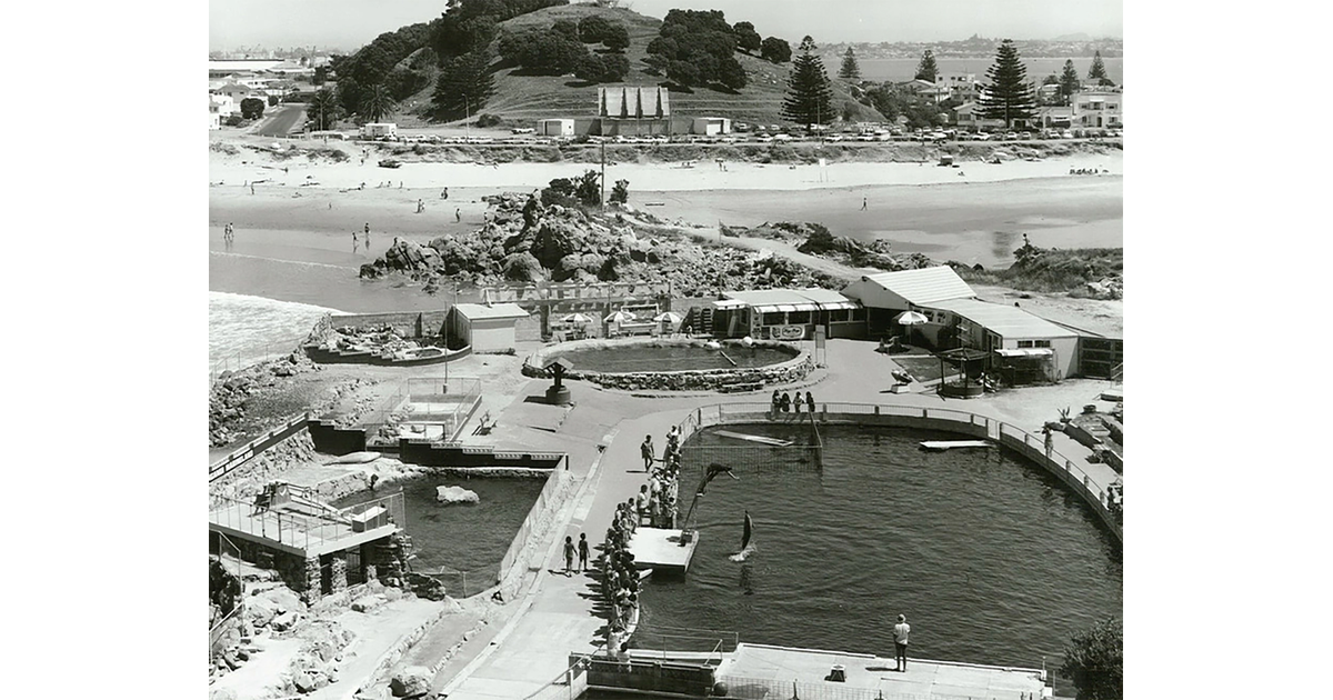 Historical Photos / Photography Historical MAD on New Zealand