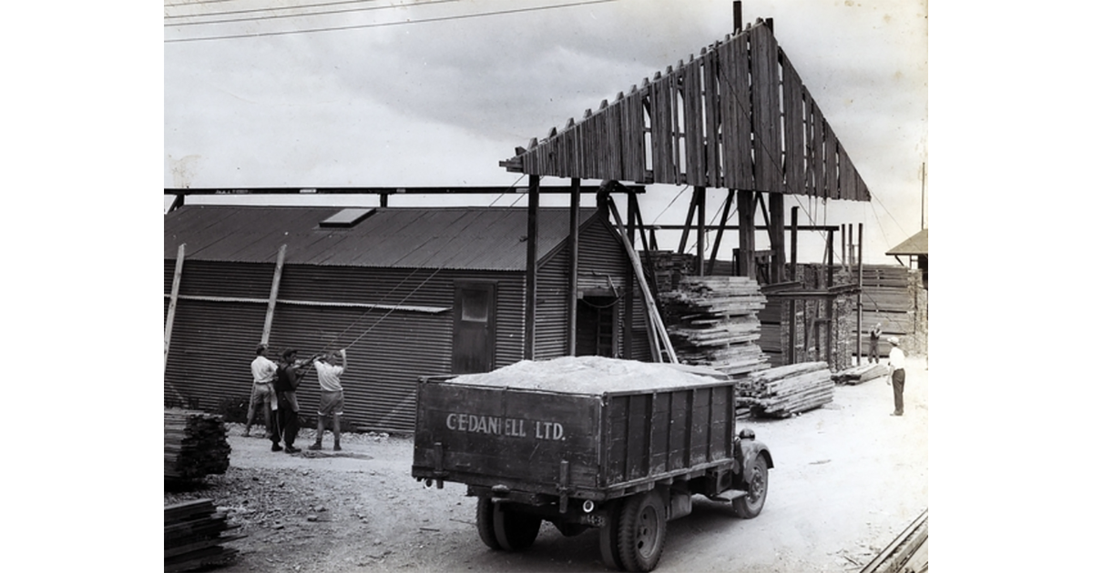 Timber Industry / Photography Historical MAD on New Zealand