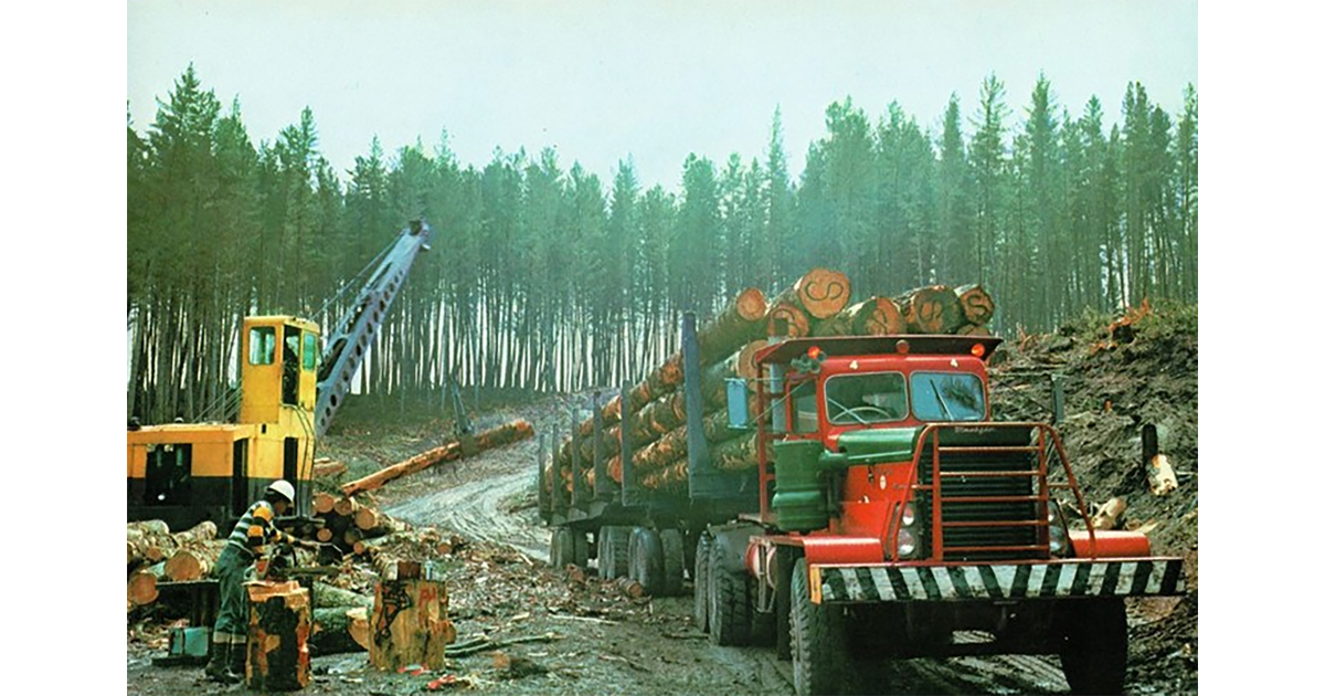 Timber Industry / Photography Historical MAD on New Zealand