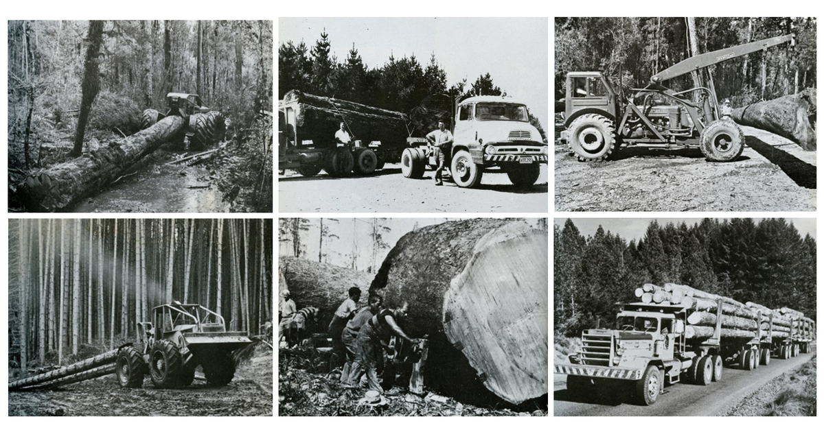 Timber Industry / Photography - Historical | MAD on New Zealand