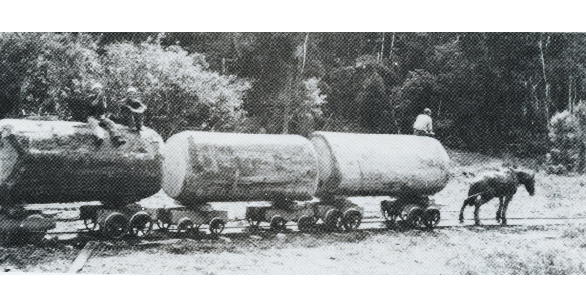 Timber Industry / Photography - Historical | MAD on New Zealand