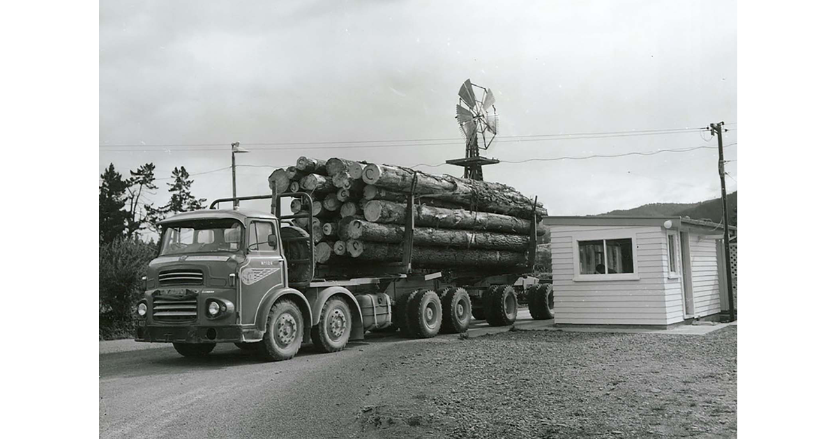 Timber Industry / Photography - Historical | MAD on New Zealand