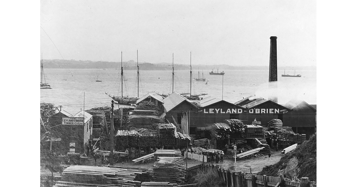 Timber Industry / Photography - Historical | MAD on New Zealand