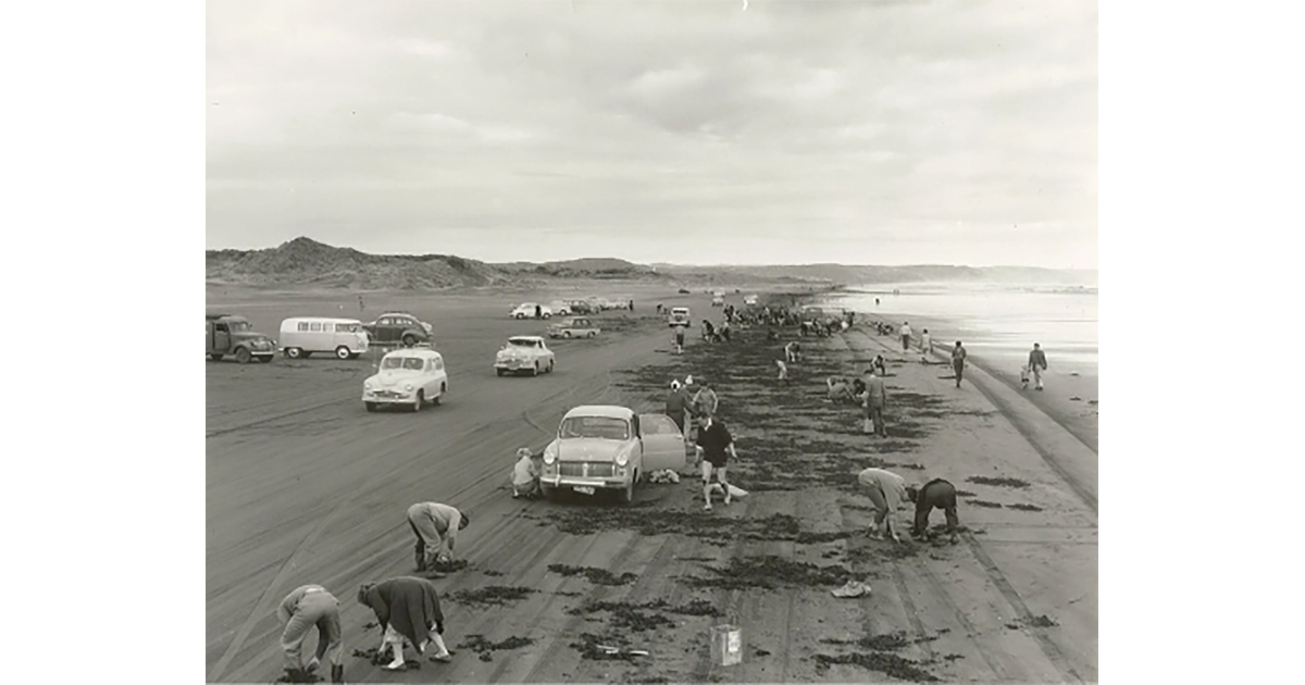 Historical Photos / Photography Historical MAD on New Zealand