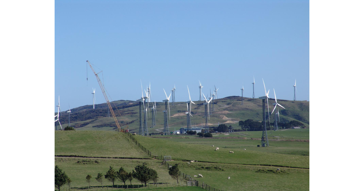 Business / Industry / New Zealand Trivia MAD on New Zealand