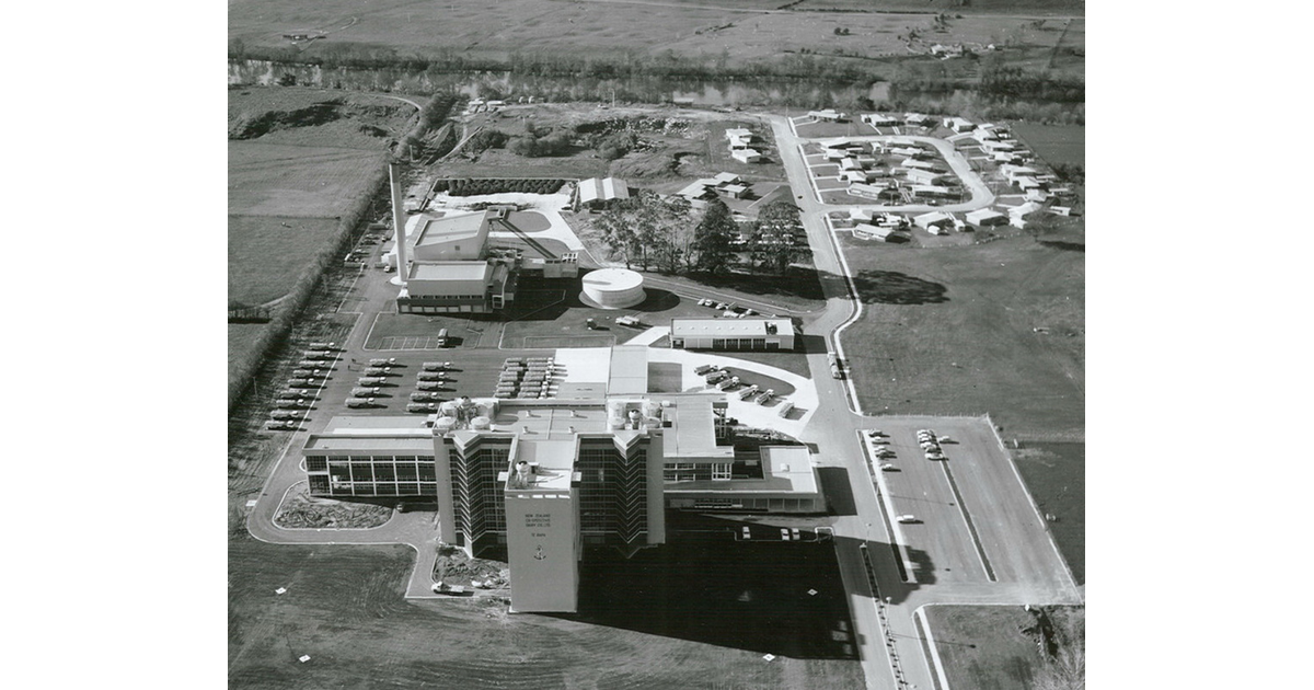 Business / Industry / New Zealand Trivia MAD on New Zealand