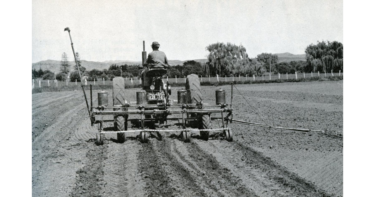 Business / Industry / New Zealand Trivia MAD on New Zealand