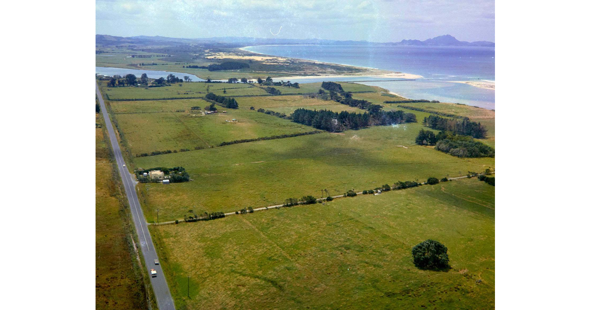 Northland / Trivia - Northland | MAD on New Zealand