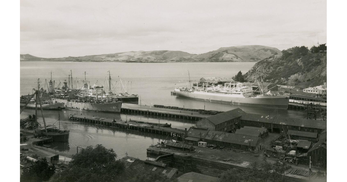 Business / Industry / New Zealand Trivia MAD on New Zealand