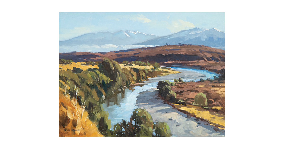 Paintings / Art New Zealand MAD on New Zealand