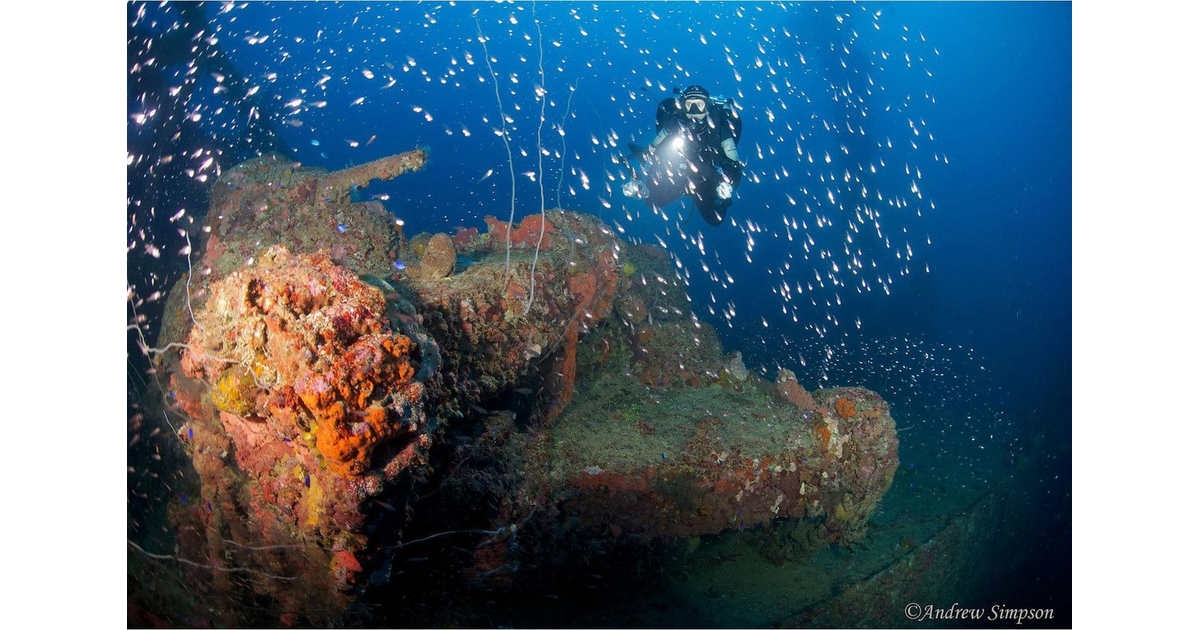 Diving Photography / Diving New Zealand MAD on New Zealand