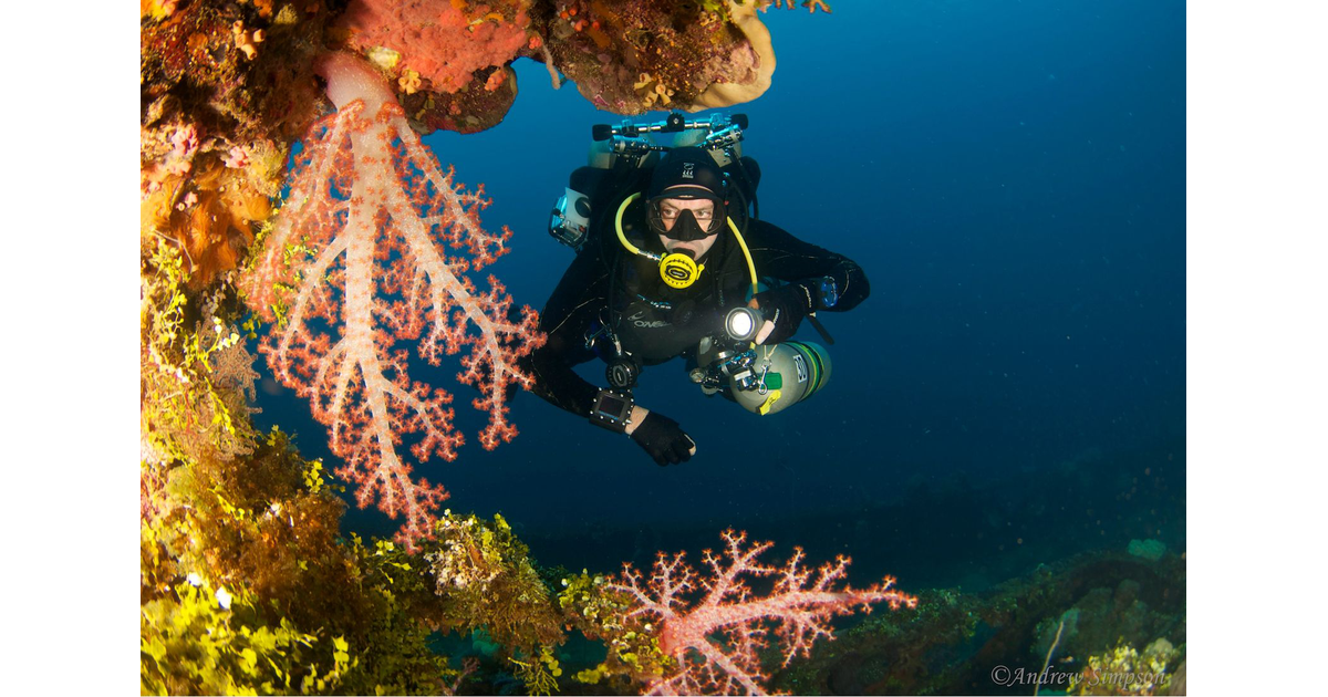 Diving Photography / Diving New Zealand MAD on New Zealand