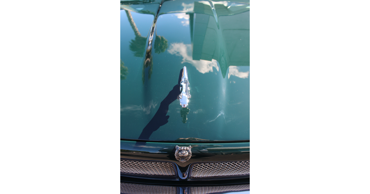 Event - Photo / Meguiar’s Car Crazy Charity Cruise | MAD on New Zealand